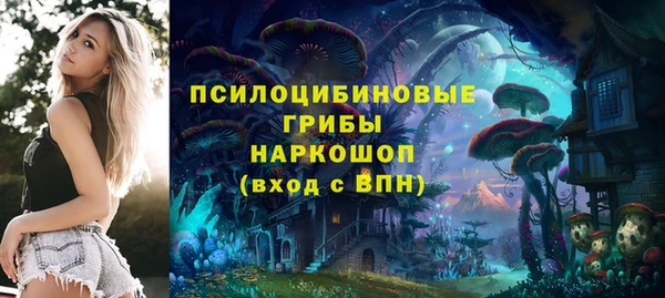 гидропоника Арсеньев
