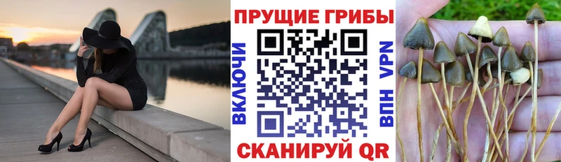 Галлюциногенные грибы ЛСД  Волгоград 